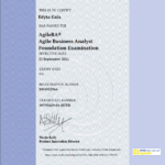 agileBA
